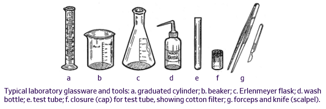 Plant Tissue Culture Explant Containers