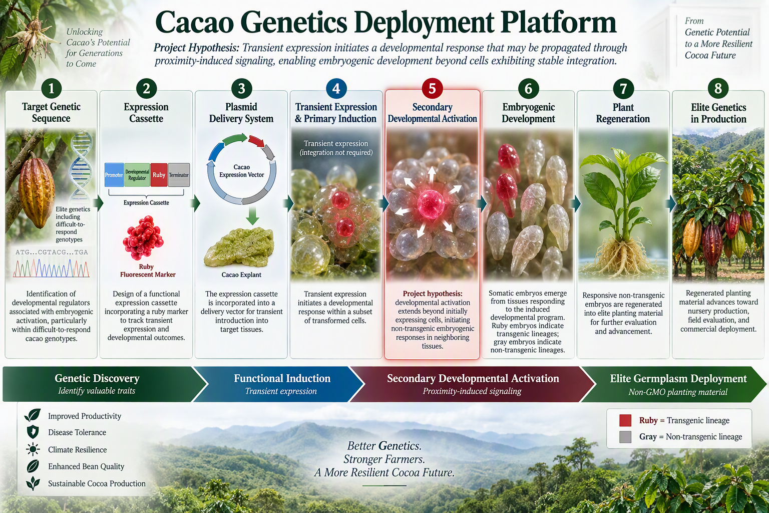 cacao-genetics-deployment-platform